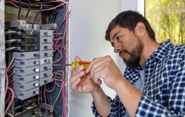 Best Electrician for Home Renovation  in Rock Valley, IA